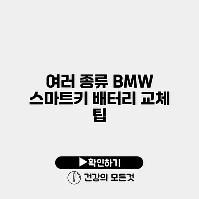 여러 종류 BMW 스마트키 배터리 교체 팁