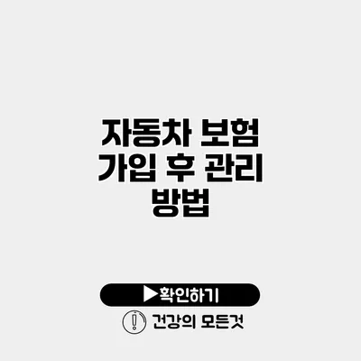 자동차 보험 가입 후 관리 방법