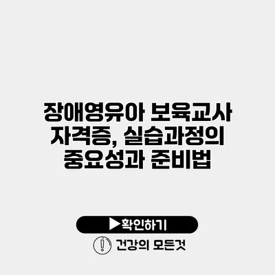 장애영유아 보육교사 자격증, 실습과정의 중요성과 준비법