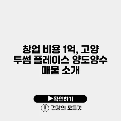 창업 비용 1억, 고양 투썸 플레이스 양도양수 매물 소개