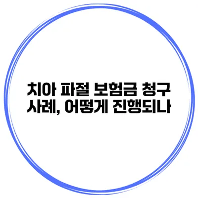 치아 파절 보험금 청구 사례, 어떻게 진행되나?
