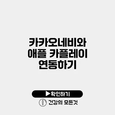 카카오네비와 애플 카플레이 연동하기