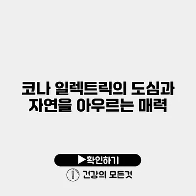 코나 일렉트릭의 도심과 자연을 아우르는 매력