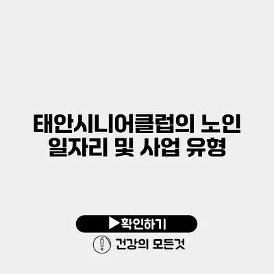 태안시니어클럽의 노인 일자리 및 사업 유형