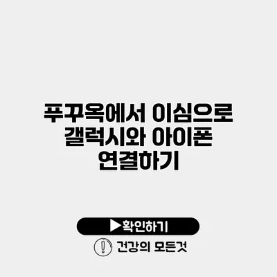 푸꾸옥에서 이심으로 갤럭시와 아이폰 연결하기