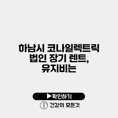 하남시 코나일렉트릭 법인 장기 렌트, 유지비는?
