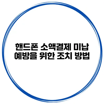 핸드폰 소액결제 미납 예방을 위한 조치 방법