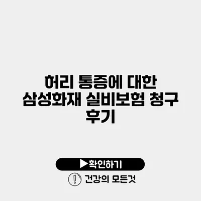 허리 통증에 대한 삼성화재 실비보험 청구 후기